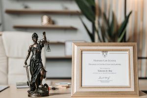 Essential Guide to LLM Applications: How to Choose the Right Law School and Specialization