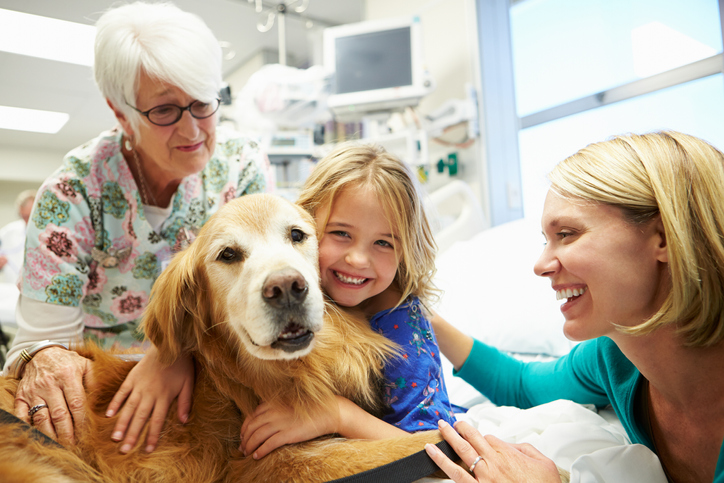 How Pets Improve Our Emotional Well-being: The Power of Animal Companionship
