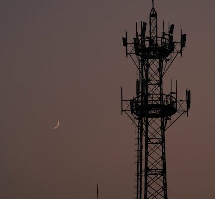 How Moon Phases Affect Cellular Signal Strength