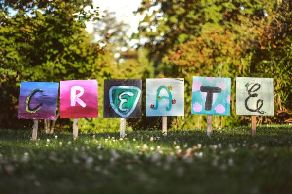 How to Create a Pet-Friendly Garden