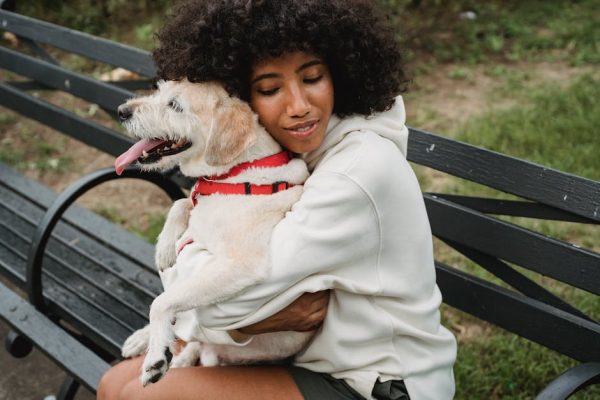 The Best Pet Breeds for Emotional Support