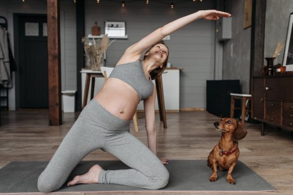 The Best Ways to Discipline a Pet