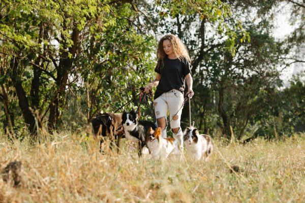 The Benefits of Having Multiple Pets