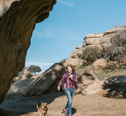 The Best Pet Breeds for Mountain Living