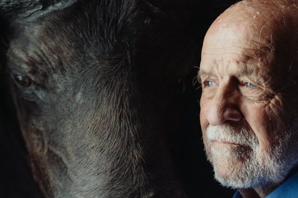 The Best Pets for Seniors Living Alone
