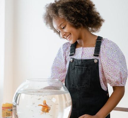 The Benefits of Fish Tanks at Home