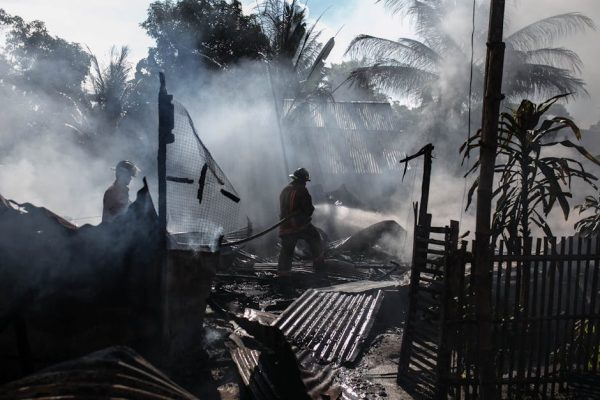 The Role of Pets in Disaster Response