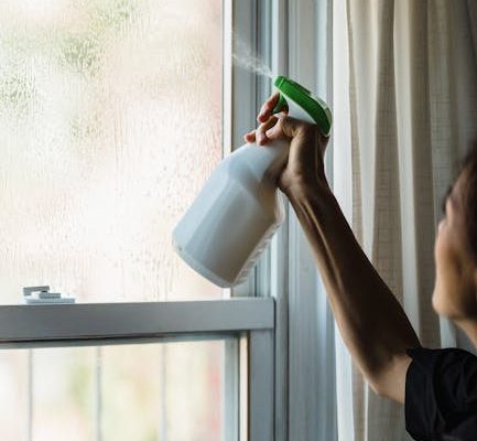 The Neuroscience of Streak Maintenance