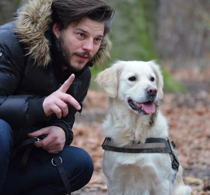 How to Choose the Right Pet Jacket