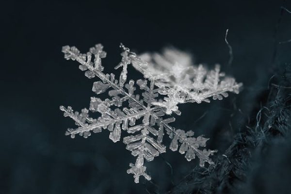 Why Ice Sculpting Courses Embrace Ephemeral Beauty