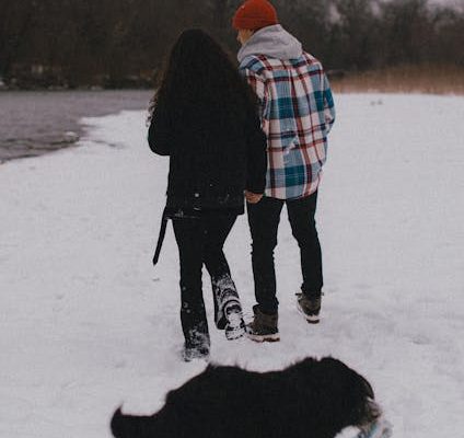 The Science Behind Why We Love Pet Videos