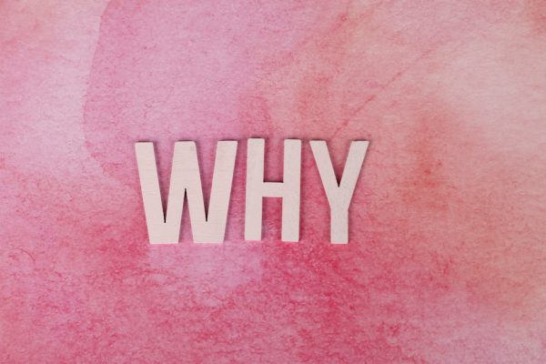 Why Graphic Design Courses Are Worth Every Penny