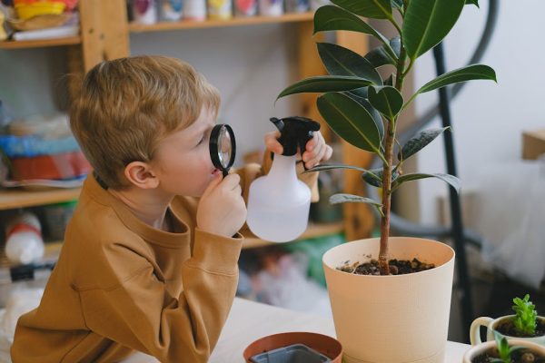 The Science Behind Why Gardening Reduces Stress