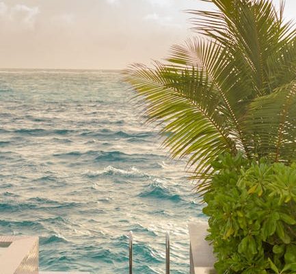 How to Apply for a Åland Islands Residence Permit