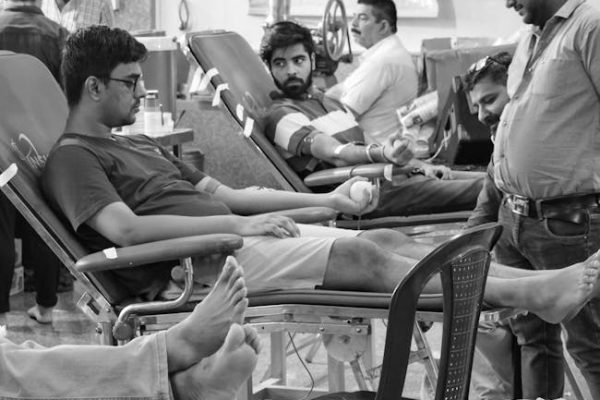 How Therapy Animals Help Hospital Patients