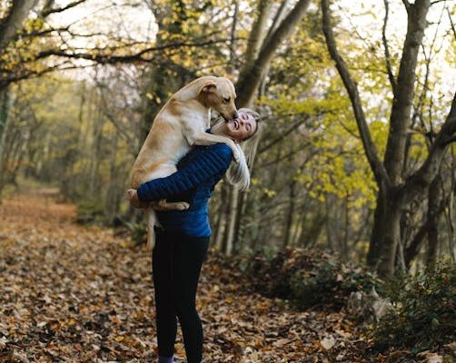 The Truth About Emotional Support Animal Laws