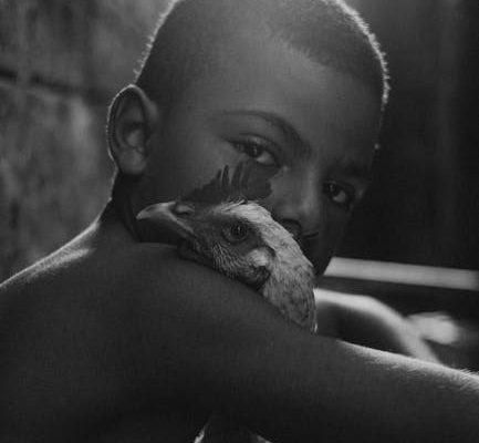 How Pet Ownership Teaches Children Empathy