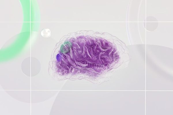 The Future of Holographic Visa Documentation