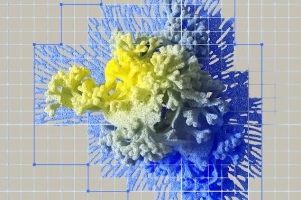 How Games Simulate Evolutionary Biology