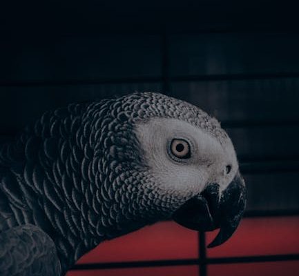 The Dark Side of Exotic Pet Ownership