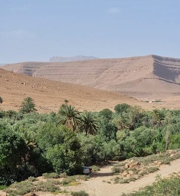 The Best Desert Landscapes for Adventure