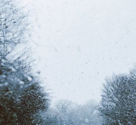 The Most Efficient Cars for Cold Weather