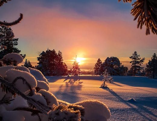 Why Cold Exposure Improves Willpower
