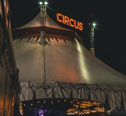 How to Get a Visa for a Bubble Show Tour
