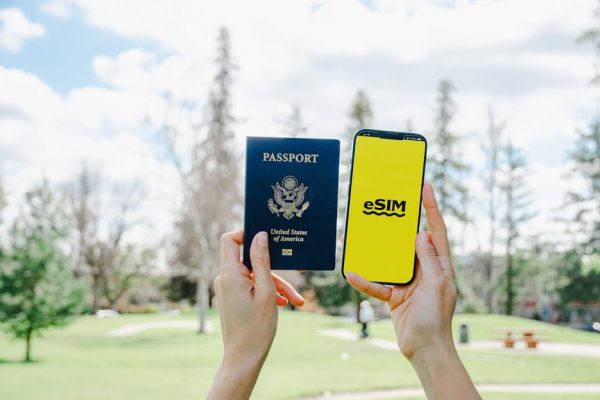 The Future of Gamified Visa Application Processes