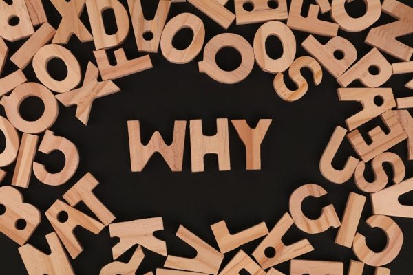 Why Language Courses Are Easier to Learn Now Than Ever