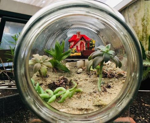 Why Terrarium Courses Build Miniature Ecosystems