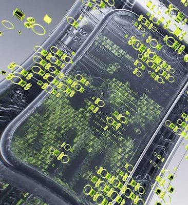The Future of Holographic Displays on Phones