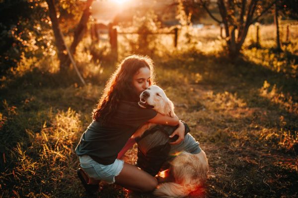 The Best Pets for Sunset Watchers