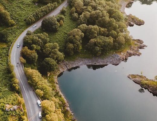 The Most Efficient Cars for Forest Roads