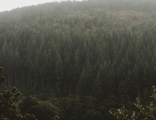 The Best Hidden Mountain Retreats