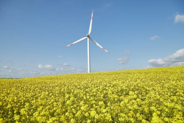 The Best Places for Sustainable Paragliding