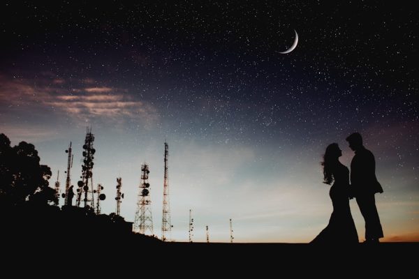 The Best Pets for Starry Night Lovers