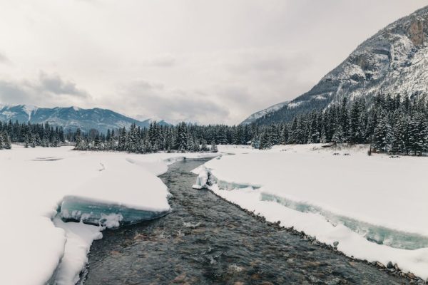 The Best National Parks for Eco-Tourists