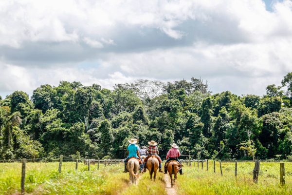 The Best Places for Sustainable Horseback Riding