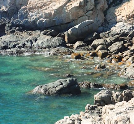 How Tourism Affects Marine Ecosystems