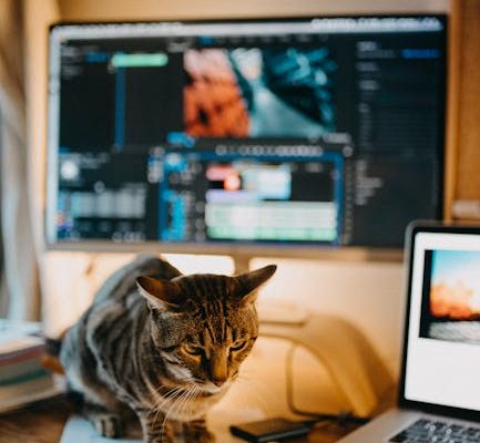 How Pet Technology Is Monitoring Animal Behavior