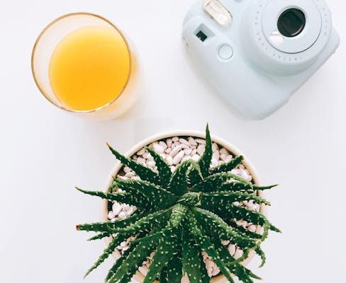 The Benefits of Drinking Aloe Vera Juice