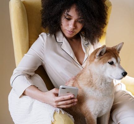 How Pet Technology Is Preventing Lost Pets