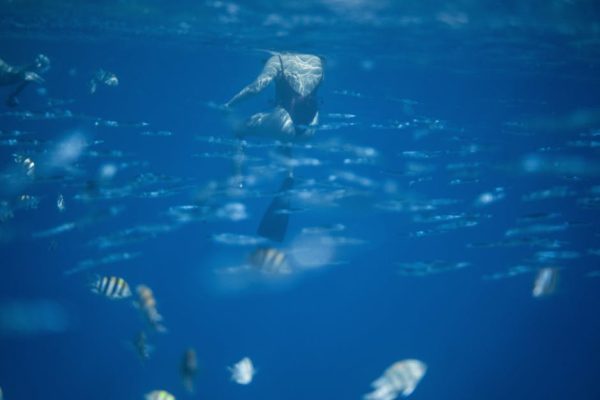 The Impact of Tourism on Coral Reefs