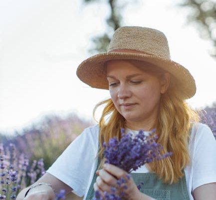 The Most Beautiful Lavender Fields