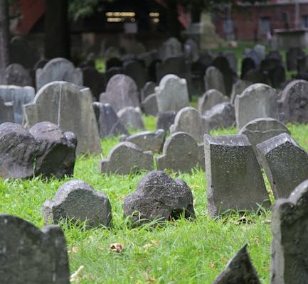 Why Archaeology Courses Connect Us to Our Past