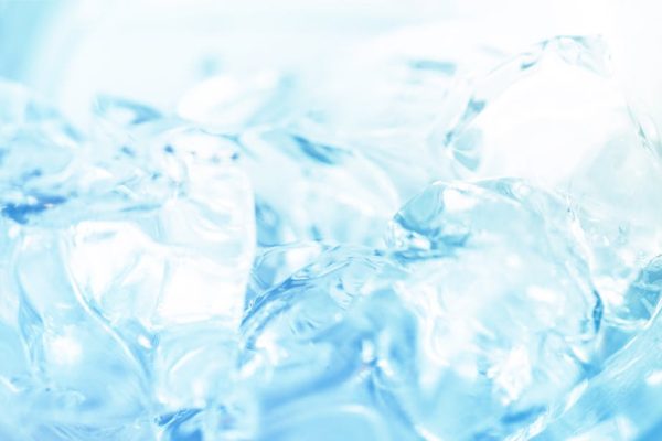 Why Some Dogs Are Obsessed With Ice Cubes