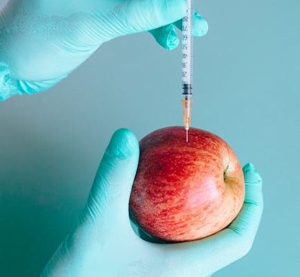 The Science Behind Why Fermented Foods Aid Digestion