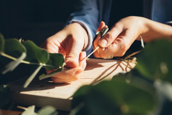 Why Floristry Courses Bring Beauty Into Everyday Life