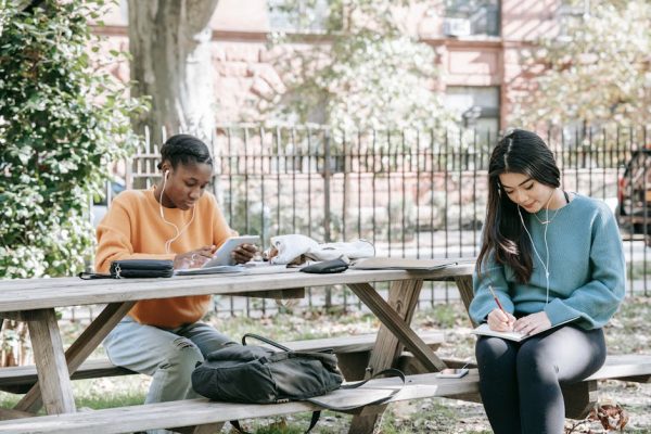 How to Use Surveys to Improve Your Course Content